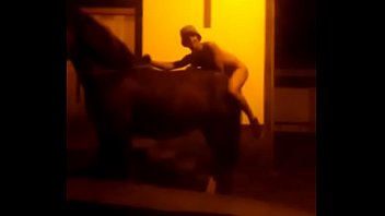 Man fucking a horse