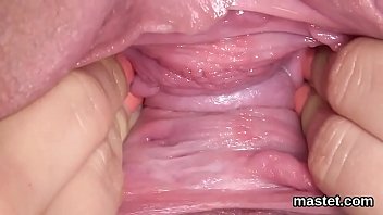 Cachorro lambendo vagina