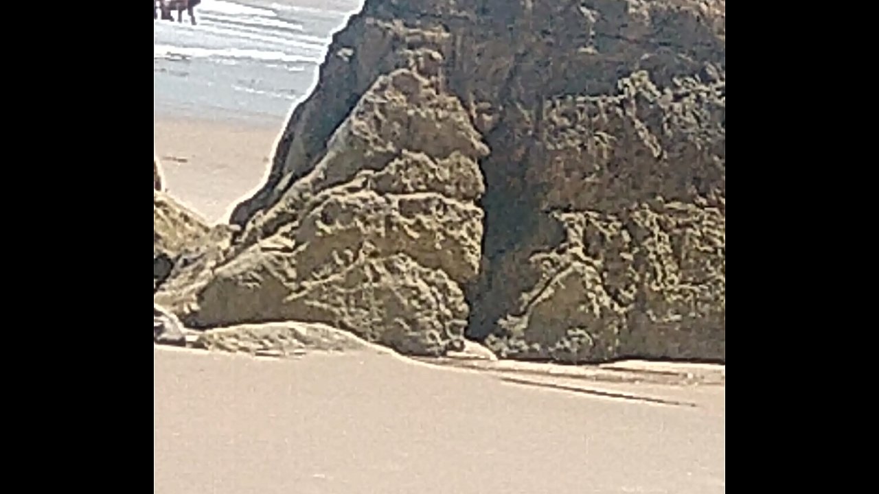 foto de voyeur na praia de nudismo