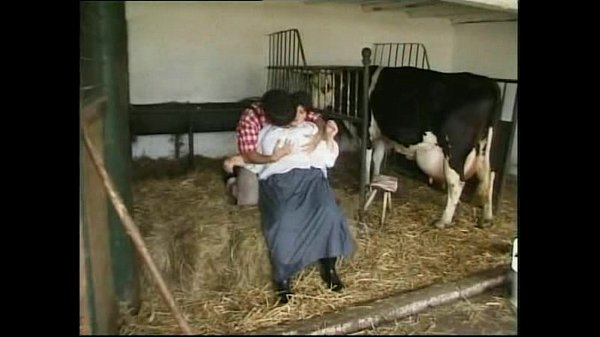 Porno tesao de vaca