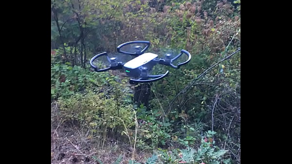 Lo drone
