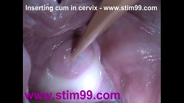Barulho de vagina