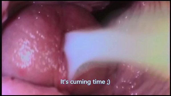 Chupando a vagina dando lapadinha na vagina