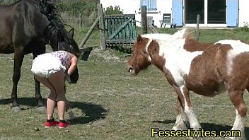 Cavalo 🐎 🐴