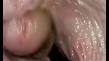 Filme porno vagina braquinha