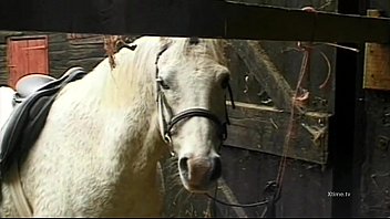 Fazenda cavalo