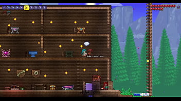 Emperatriz da luz terraria